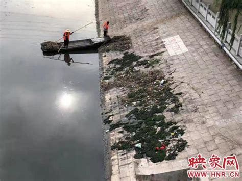 郑州东风渠污水直排鱼类呛死了？别信了！都是之前暴雨所致_手机新浪网