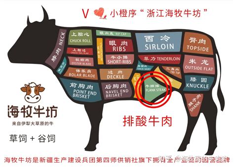 牛腩和牛肉的区别？牛腩和牛肉有什么区别？ - 知乎