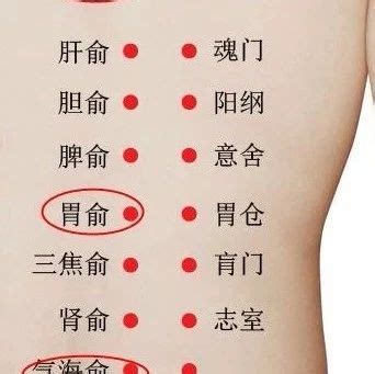 胃俞的准确位置图图片