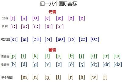 语言矫正：发音是许多复杂精细的动作_渝北区兰天心理咨询服务部