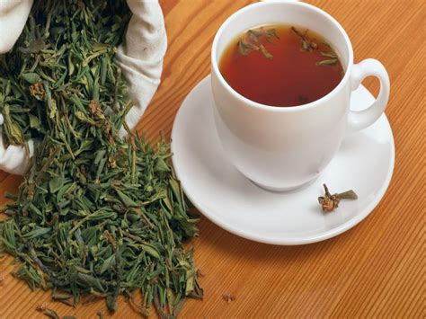 喝茶对人体有哪些帮助？茶的有益成分是什么？|凸觅