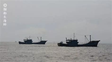 几种常见的捕捞渔船介绍-广东省船舶工业协会