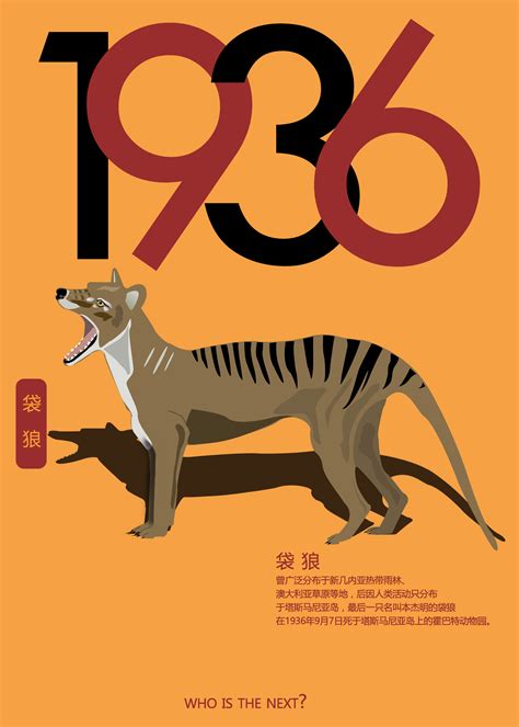 已灭绝动物的海报|平面|海报|小启儒 - 原创作品 - 站酷 (ZCOOL)
