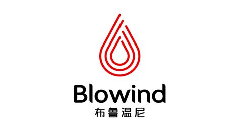 杭州Blowind泳衣品牌LOGO设计-logo11设计网