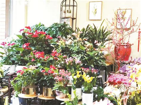 自己想开一个小型花卉店，卖小型植物，一开始该注意什么-百度经验