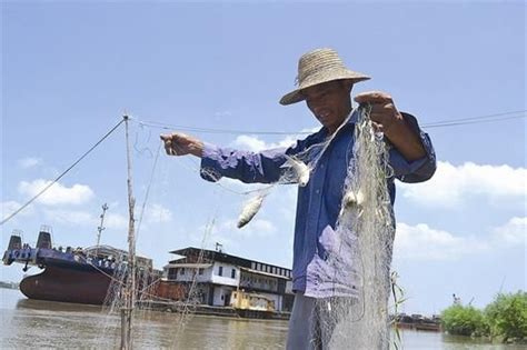 Bangpra湖渔民在捕鱼时采高清图片下载-正版图片504803294-摄图网