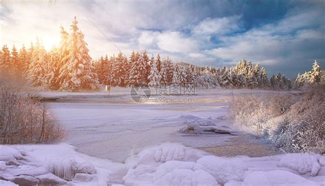 冬天雪景高清图片下载-正版图片500442487-摄图网