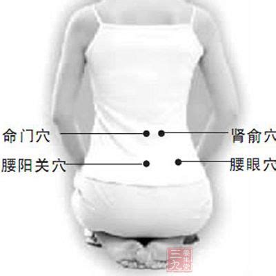 腰阳关的准确位置图,承扶的准确位置图,腰眼的准确位置图(第4页)_文秘苑图库