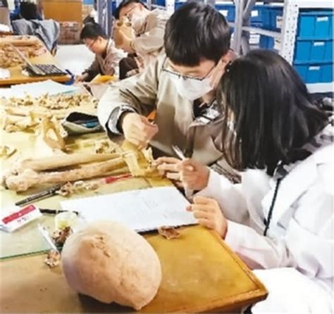 市文化遗产研究院文物考古研究所被授予市“工人先锋号”荣誉称号 - 重庆考古