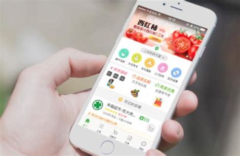 郑州手机app开发目前用到的技术有哪几种-河南威之德