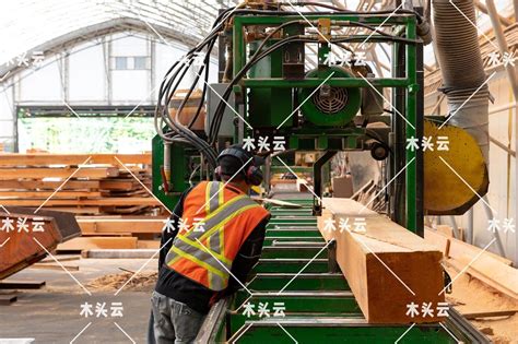 真吾荃胶合木——图解生产工艺流程-中国木业网