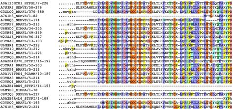 DNA序列查询——NCBI良心教程，寻找基因转录本序列及相关编码蛋白-深圳市安培生物科技有限公司