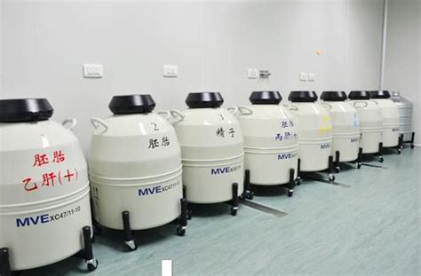 XC47/11-10生殖中心液氮生物容器_液氮罐咨询_山东博科生物产业有限公司