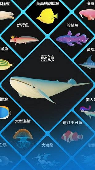 深海水族馆图片