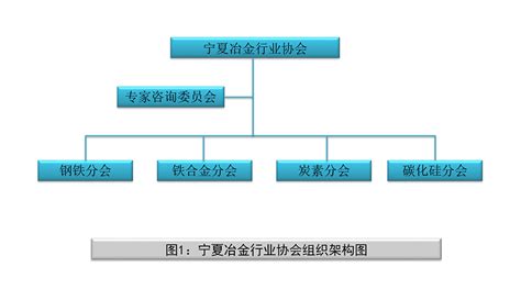 中国冶金教育学会本科教育研究分会成立大会暨全国高校冶金工程及相关专业建设研讨会顺利召开-昆明理工大学