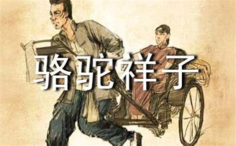 《骆驼祥子》图片
