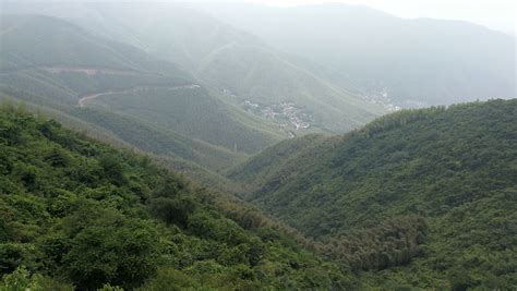 2019大坑景区_旅游攻略_门票_地址_游记点评,莫干山旅游景点推荐 - 去哪儿攻略社区