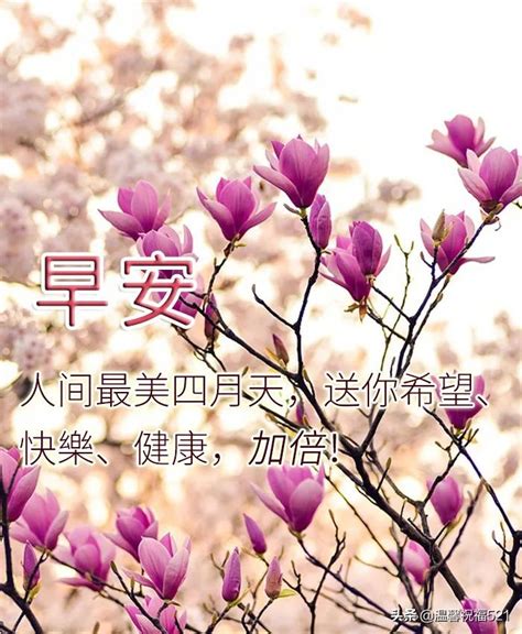春节老板祝福短信 适合春节给老板的祝福语_知秀网
