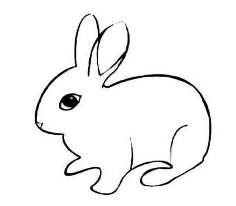 小兔子简笔画,兔子简笔画图片：写实兔子简笔