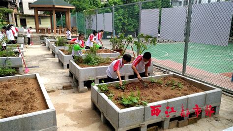 学校开展“美校园”种植活动_中国劳动关系学院