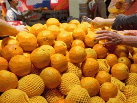 水果生意必备，国内十大水果批发市场|农产品|批发市场|水果_新浪新闻
