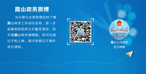 霞山区人民政府网站