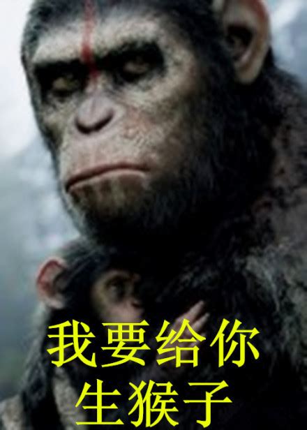 这三个猴子的表情连起来是什么意思-