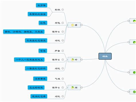 被子植物的一生思维导图 - 迅捷流程图制作软件官网