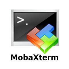 Install and use the SSH tool MobaXterm - Moment For Technology