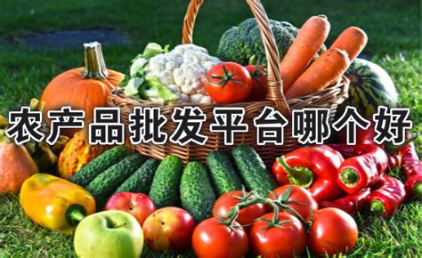 贵州农产品交易平台app下载-贵州农产品交易平台软件下载v2.0.2.0 安卓版-当易网