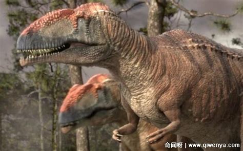 《特暴龙》一只失去家人的小恐龙的传奇一生_腾讯视频