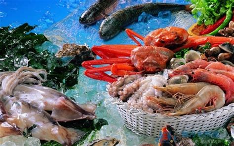 功能海鲜_产品展示_天津海食界国际贸易有限公司