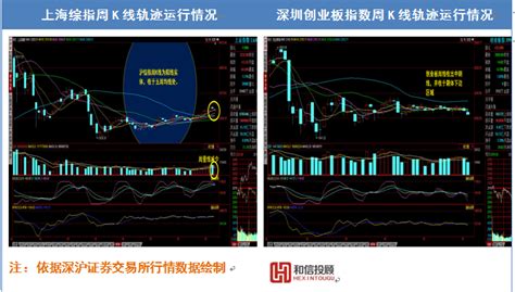 和信投顾收评：指标股护盘深沪股市分化-市场-上海证券报·中国证券网