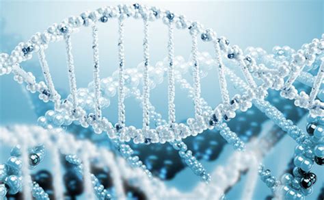 DNA的基本单位是什么？有什么组成-百度经验