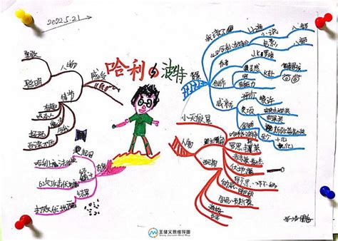 哈利波特思维导图图片