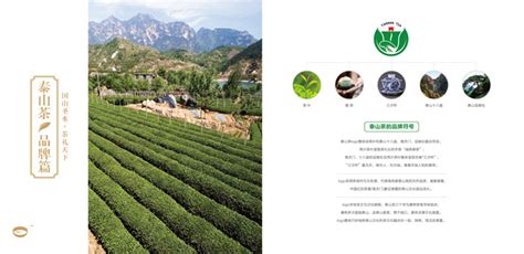 茶山的早晨 王开学 摄于湖北恩施鹤峰升子村 - 中国国家地理最美观景拍摄点