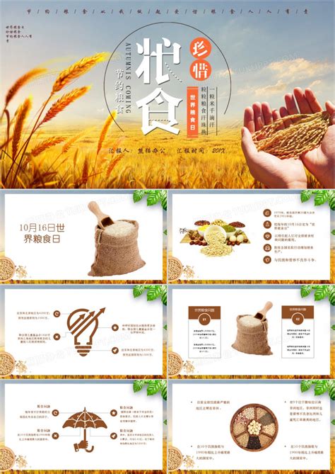 清新简约世界粮食日宣传周PPT模板下载_熊猫办公