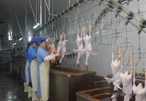 鸭肉类美食武汉特产鸭肠高清图片下载-正版图片501026031-摄图网