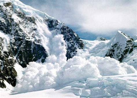 美国一只拉布拉多犬雪崩遭埋靠吠叫声引人救命 - 神秘的地球 科学|自然|地理|探索