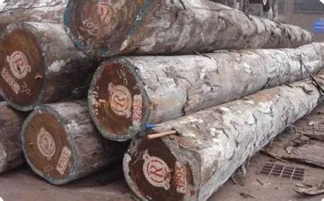 【木材百科】常见的十大非洲硬木品种！-木材码头