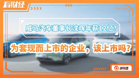 威马CEO沈晖：公司没有掉队，新造车上半场刚刚开始__财经头条