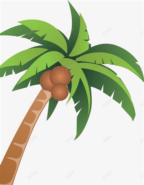 手绘沙滩椰子树png图片免费下载-素材7XNkqWVee-新图网