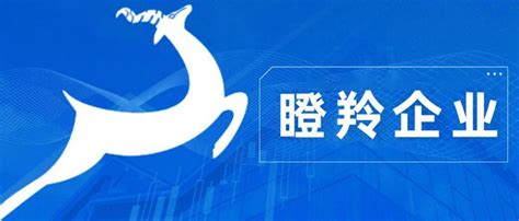 鄂城区2家企业入围湖北省科创新物种“瞪羚”企业名单