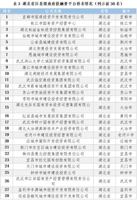 湖北省地方政府投融资平台转型发展评价（2023）正式发布！-中国网海丝泉州频道
