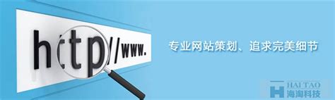 网站建设策划书范文3篇精选Word模板下载_编号lwmennbd_熊猫办公