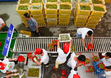 重庆农产品加工业目标：2025年总产值突破6000亿 - 各地产经 - 中国产业经济信息网