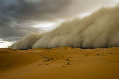 极端炎热的撒哈拉沙漠中，还会有什么更加极端的“特殊”气候？|沙尘暴|沙漠|骆驼队_新浪新闻