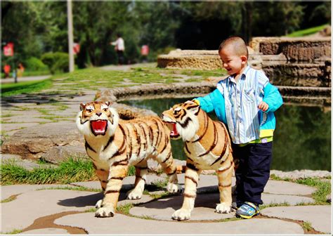虎年说虎，虎在中国传统文化中究竟有着怎样的意义_凤凰网