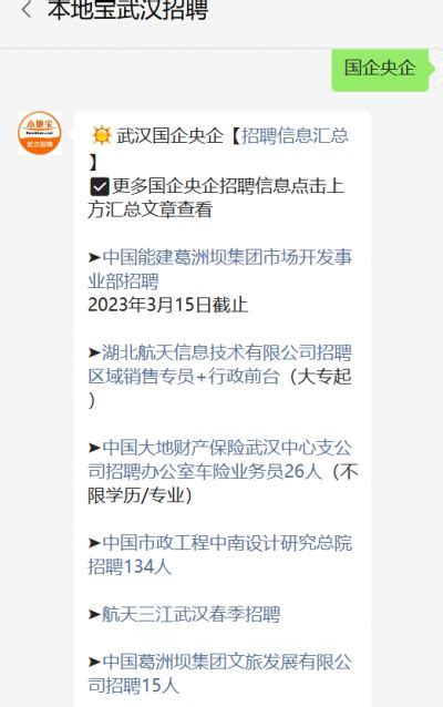 2023武汉城市发展集团招聘公告（社招+校招）- 武汉本地宝