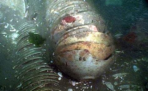 老照片：世界上最恐怖的10个海底墓